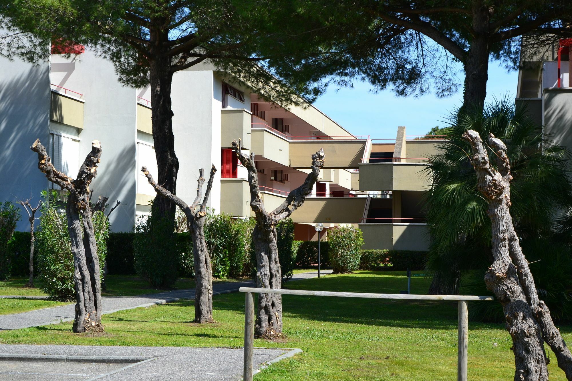 Apartments Via Dei Platani Marina Di Bibbona Eksteriør bilde