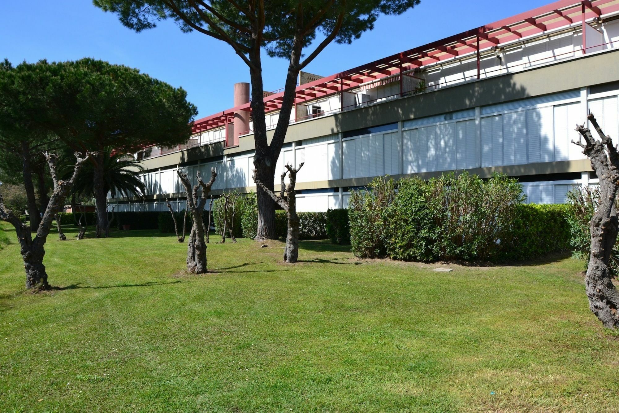 Apartments Via Dei Platani Marina Di Bibbona Eksteriør bilde